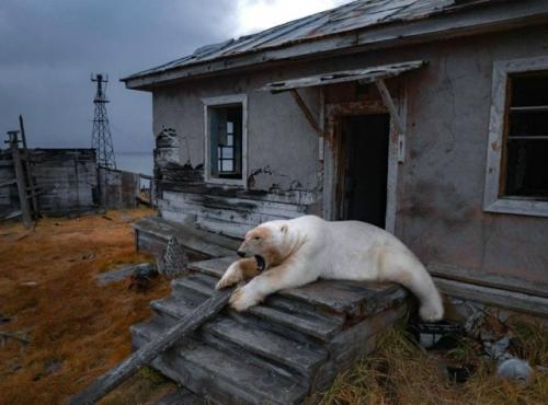 Фото из России, которое стало символом года.

