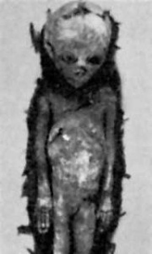 Тайна племени дропа. 08 Тайна племени дропа. 08