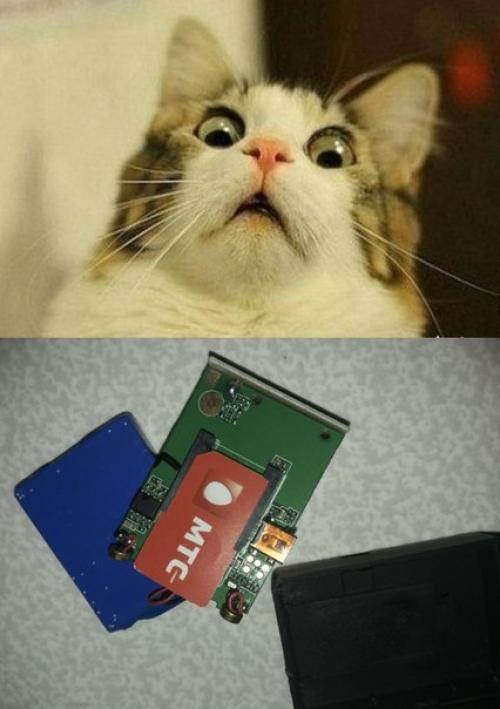 Осторожнее на съемных квартирах. 08