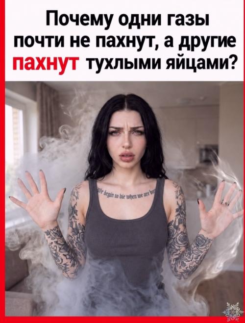 Почему одни газы почти не пахнут, а другие пахнут тухлыми яйцами? 

