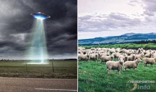 Линкольнширский треугольник: ночные гости и бесследное исчезновение животных. Линкольнширский треугольник: ночные гости и бесследное исчезновение животных.