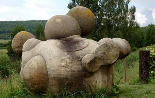 Трованты - румынские Живые камни.