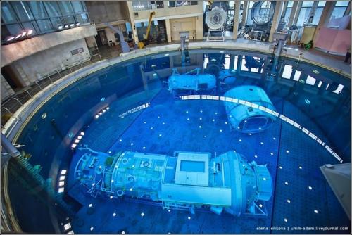 Чтобы высоко летать, надо научиться глубоко плавать. 04 Чтобы высоко летать, надо научиться глубоко плавать. 04