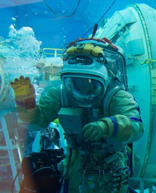 Чтобы высоко летать, надо научиться глубоко плавать. 01 Чтобы высоко летать, надо научиться глубоко плавать. 01