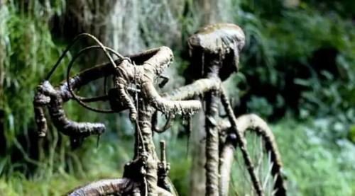 5 загадочных мест, происшествия в которых ученые до сих пор не могут толком объяснить. 02