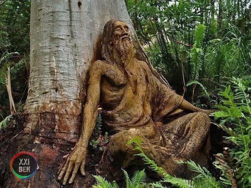 Работы австралийского скульптора Бруно торфса, расставленные в лесу. 07