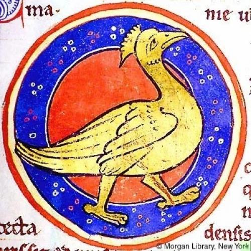 Пять странных зверей из средних веков. 02