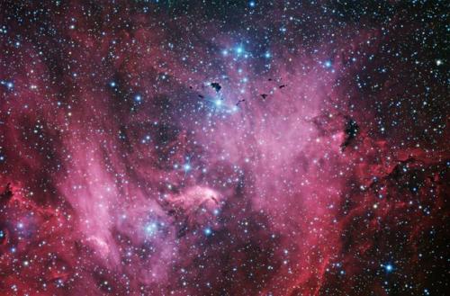 Фотограф Джейсон дженнингс.