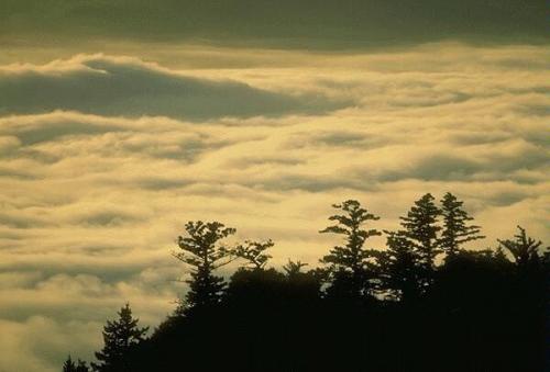 Тайны озёр смерти. 01