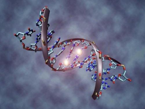 Как наука бессмертие к реальности приближает?