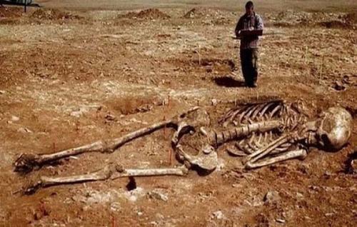 Тайна великанов и древняя история земли. 04 Тайна великанов и древняя история земли. 04