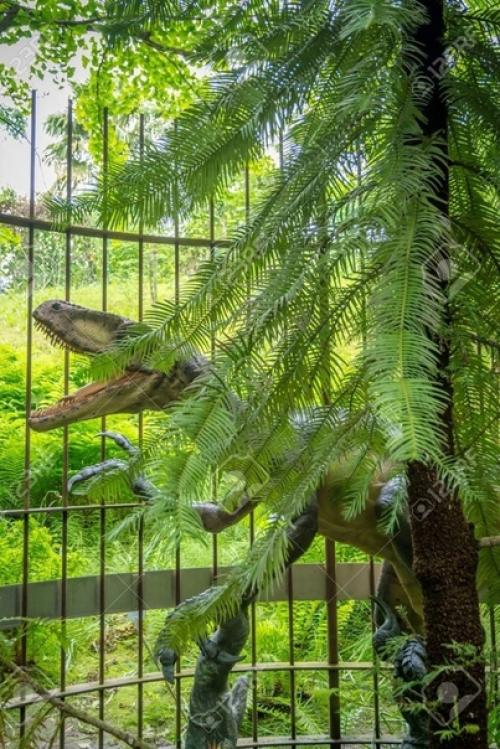 Сосны росшие на земле 15 миллионов лет назад. 04 Сосны росшие на земле 15 миллионов лет назад. 04