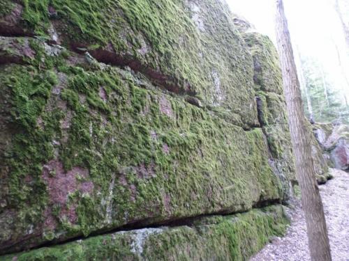 О чем говорят каменные мегалиты парка монрепо? 04