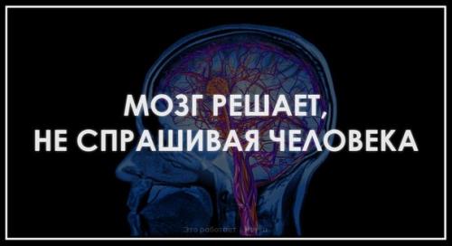 Мозг решает, не спрашивая человека.
