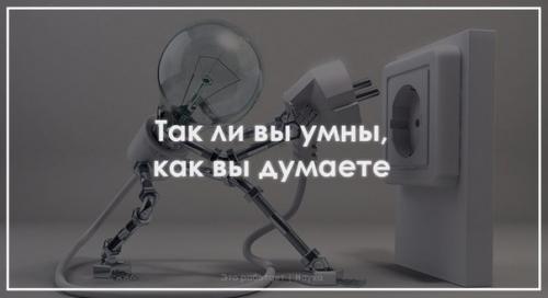 Мечтаете стать экспертом в той или иной области?