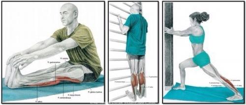 Зачем нужна растяжка и как правильно растягиваться? 05