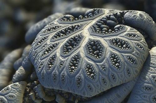 Бесконечность и красота математики.  