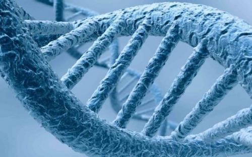 Можно ли перевести часы старения? Можно ли перевести часы старения?