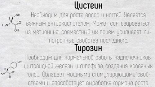 Научные факты!  Краткие подсказки о том, как работают аминокислоты в нашем организме. 03