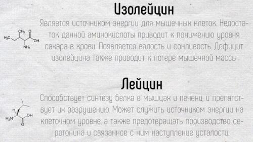 Научные факты!  Краткие подсказки о том, как работают аминокислоты в нашем организме. 05