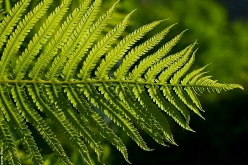 Бесконечность и красота математики. 06