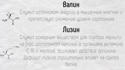 Научные факты!  Краткие подсказки о том, как работают аминокислоты в нашем организме. 06