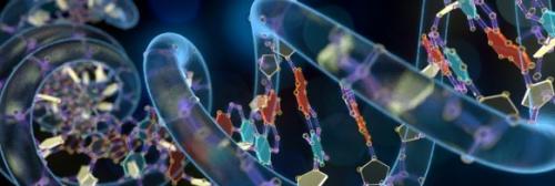 Билл брайсон:  Все живые существа - это реализации одного первоначального плана.