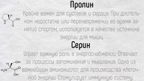 Научные факты!  Краткие подсказки о том, как работают аминокислоты в нашем организме. 01