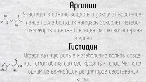 Научные факты!  Краткие подсказки о том, как работают аминокислоты в нашем организме. 07