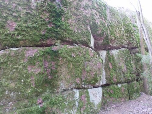 О чем говорят каменные мегалиты парка монрепо? 06