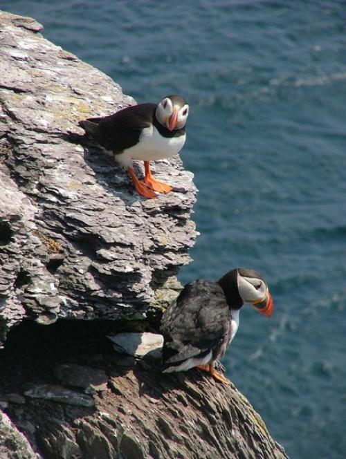 Монастырь в ирландском море. 06 Монастырь в ирландском море. 06