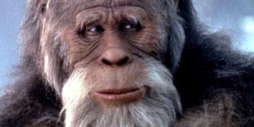 Генетики тайну происхождения 