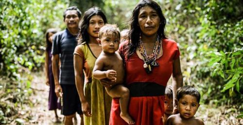 Профессор лингвистики Рольф тейл из университета Осло выявил самый странный язык в мире - пирахан.  