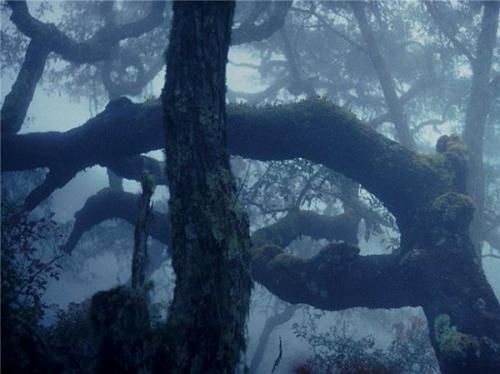 Мистическая Бретань. 
Ezomir.

