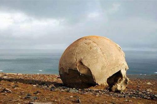 Остров чамп.  Про знаменитый остров пасхи с его загадочными статуями знают все, но мало кто знает, что в России есть еще более таинственный остров. 05