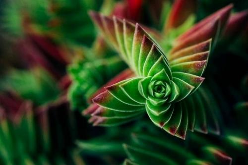 Бесконечность и красота математики. 04