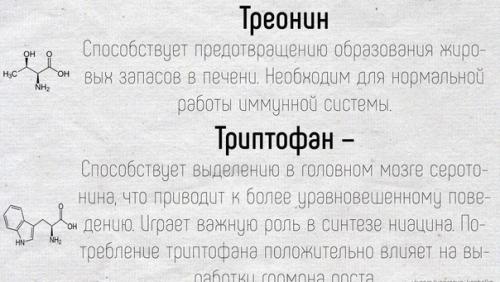 Научные факты!  Краткие подсказки о том, как работают аминокислоты в нашем организме. 08