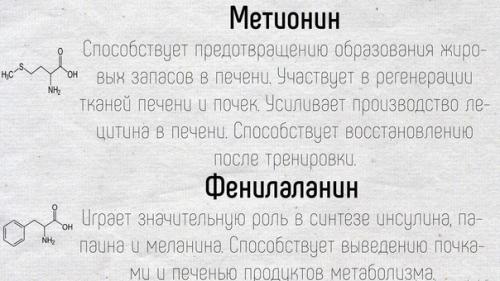 Научные факты!  Краткие подсказки о том, как работают аминокислоты в нашем организме. 02