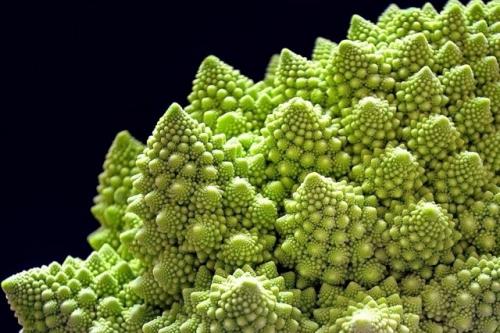 Бесконечность и красота математики. 03