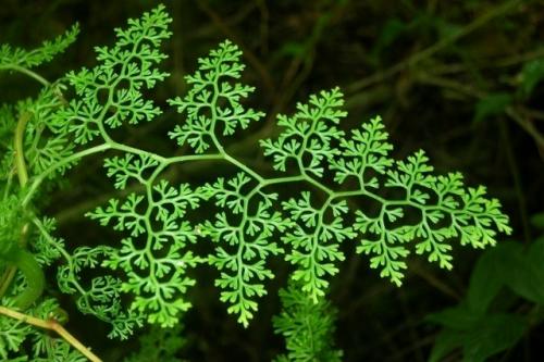 Бесконечность и красота математики. 02