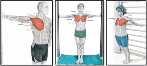 Зачем нужна растяжка и как правильно растягиваться? 01