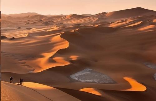 Сахара была морем, где жили гигантские рыбы и морские змеи. 01