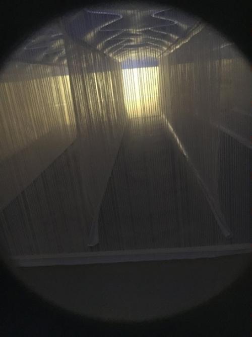 Ничего из этого вы точно не видели! 05