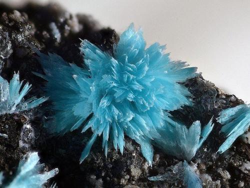 Фото потрясающих шедевров, которые создала сама природа. 01