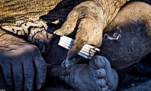 Достижение в книге рекордов Гиннеса установил 80-летний житель Ирана Аму хаджи, который не мылся в течение 60 лет. 04 Достижение в книге рекордов Гиннеса установил 80-летний житель Ирана Аму хаджи, который не мылся в течение 60 лет. 04