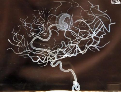 Как развить неограниченные возможности мозга? 

