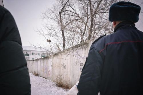 Алабай из амурской области принял рысь за большую кошку, погнался за ней и загнал её на дерево. 03