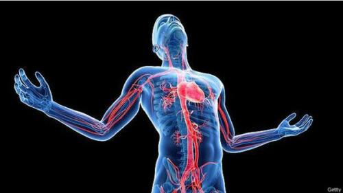 Каково это - ощущать в груди два сердца. Каково это - ощущать в груди два сердца.