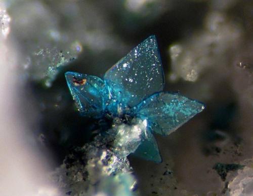 Фото потрясающих шедевров, которые создала сама природа. 08