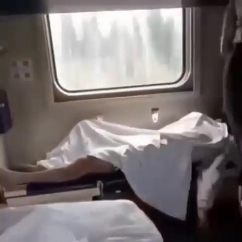 Во время рейса из Сочи в Санкт-петербург произошёл конфликт с пассажиркой, одетой в леопардовый наряд. 01